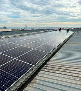 Hablemos-de-sostenibilidad-en-la-industria-de-la-codificacion