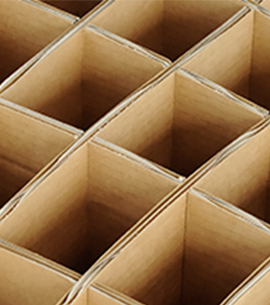 The-future-is-written-on-the-cardboard